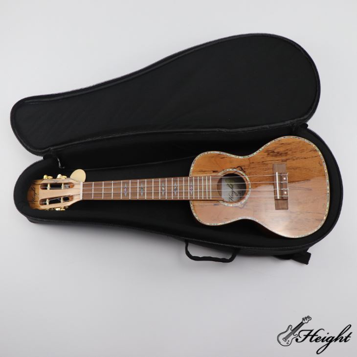 Ukulele de Waterpoof de 23 polegadas Bolsa De Lona 23 Inch Waterpoof Ukulele Bags